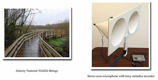 Ankeny Refuge and stereo cone mic